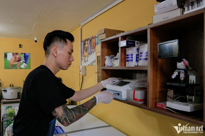 Nuôi chó cho ăn cá hồi, thịt bò, gà thu về tiền tỷ đồng mỗi năm-9