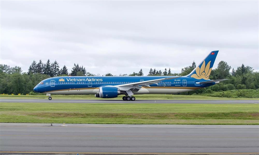 Máy bay Vietnam Airlines quay đầu cấp cứu một trẻ em người Nhật-1