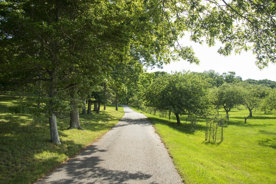 Bên trong căn nhà Marilyn Monroe dùng để ẩn náu, thu mình trong cối xay gió mà có giá 268 tỷ đồng-12