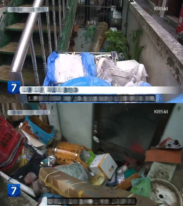 Những câu chuyện thương tâm trong trận mưa lịch sử ở Seoul-3