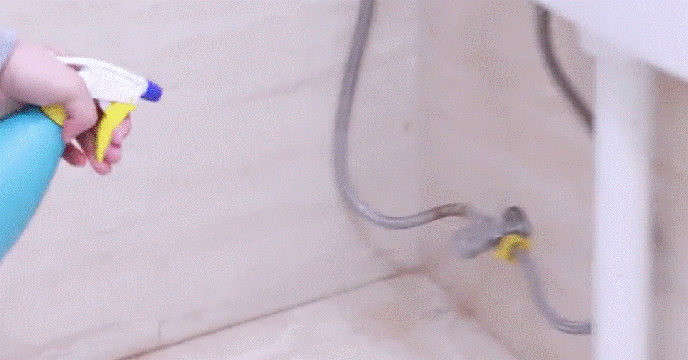 Đốt quế để trong nhà sẽ giải quyết rắc rối lớn mà hầu hết các hộ gia đình đều mắc phải-5