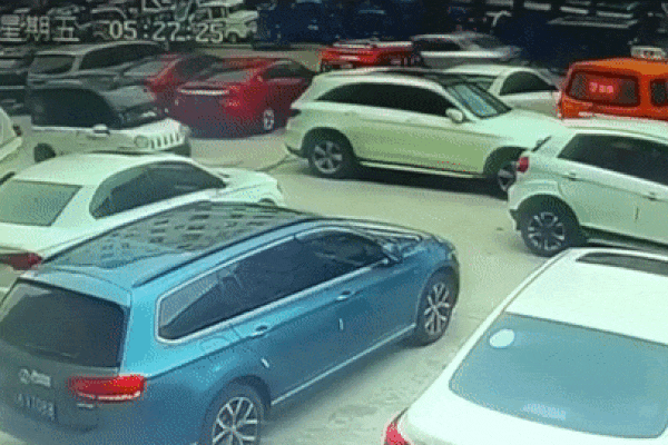 Chú chó đạp vào chân ga khiến ô tô điện lao đi và đâm vào một chiếc xe đang đỗ