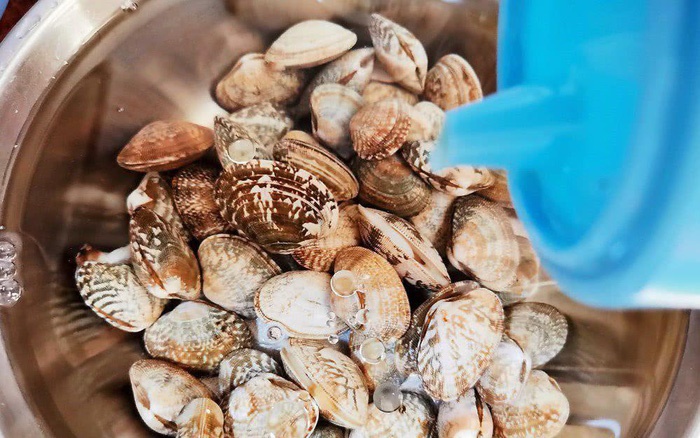 Ngao mua về ngâm trong nước này chỉ 10 phút là nhả sạch không còn 1 hạt cát-1