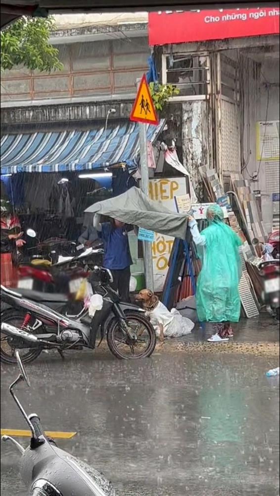 Chú chó trốn khỏi kẻ trộm giữa mưa và cử chỉ được khen hết lời của 2 cô gái lạ-1