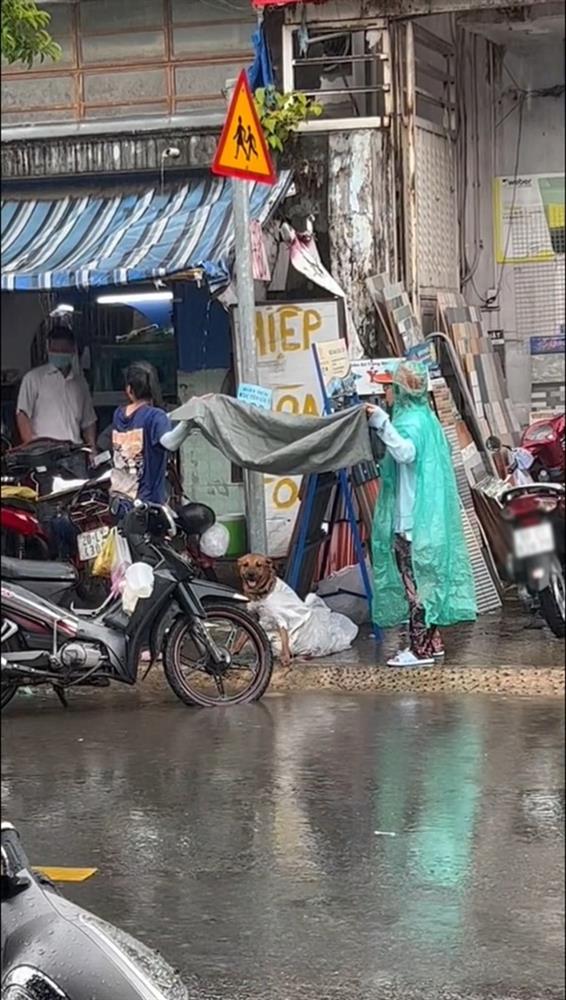 Chú chó trốn khỏi kẻ trộm giữa mưa và cử chỉ được khen hết lời của 2 cô gái lạ-4