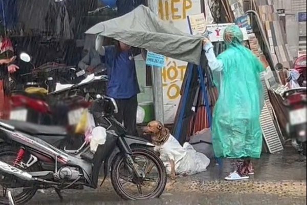 Truy tìm người đàn ông đổ xăng đốt nhà dân lúc nửa đêm ở Đà Nẵng-2