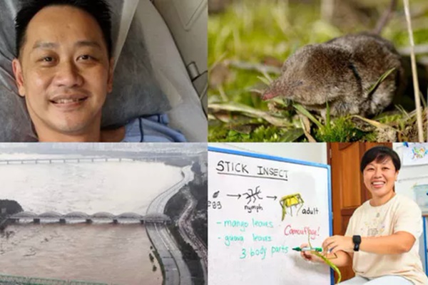 Trung Quốc phát hiện hàng chục người nhiễm virus Langya mới gây sốt nghiêm trọng-1