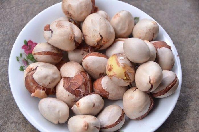 Loại hạt cho không ai lấy” lại có giá đắt đỏ khi lên kệ siêu thị nước ngoài-1