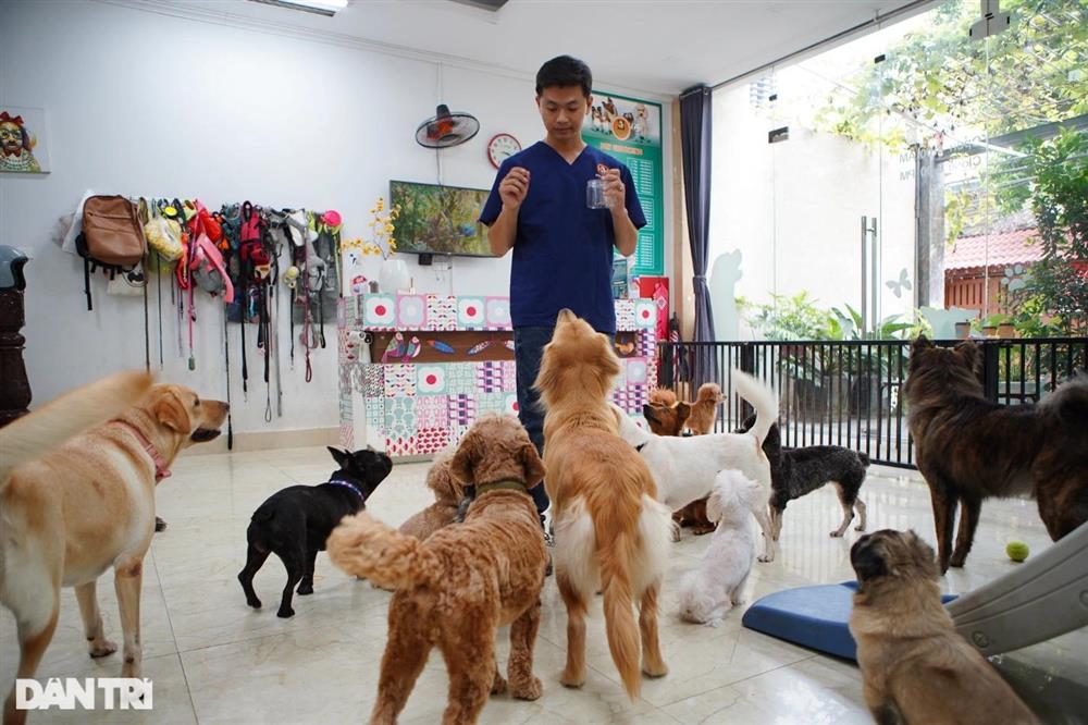 Lạ lùng dịch vụ gửi thú cưng đi... nhà trẻ sang chảnh ở Hà Nội-2