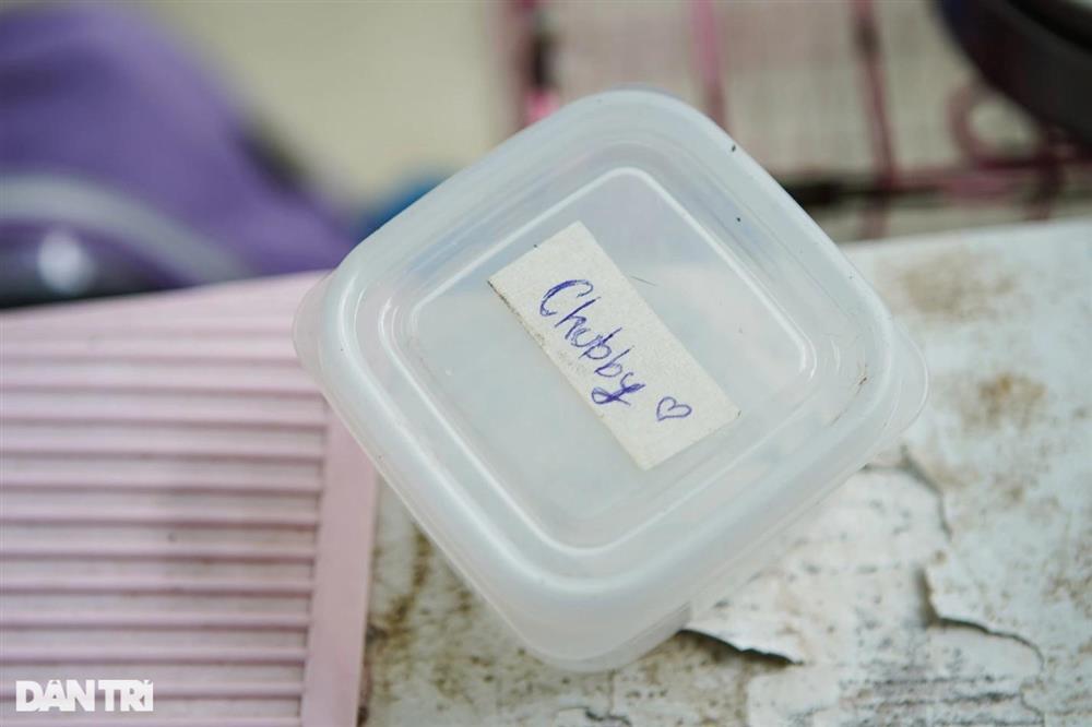 Lạ lùng dịch vụ gửi thú cưng đi... nhà trẻ sang chảnh ở Hà Nội-5