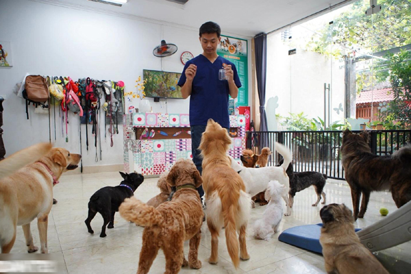 Dân chơi ở Hà Nội chi chục triệu nuôi loài chim trinh sát trên không-12