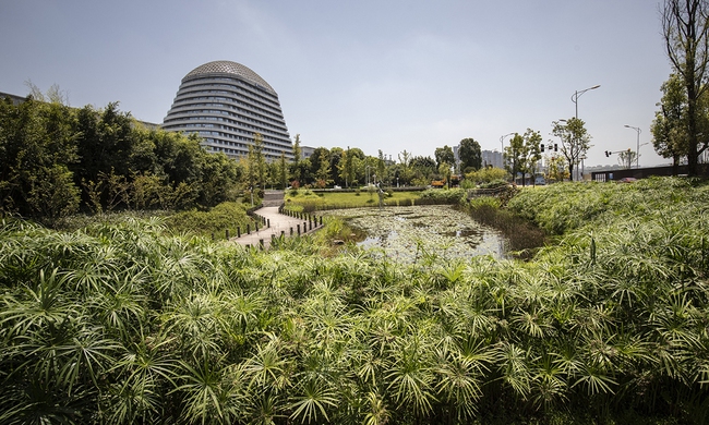 Giải mã: Vì sao cùng ở Seoul nhưng khu nhà giàu Gangnam lại là rốn lũ trong khi nơi khác bình yên vô sự?-12