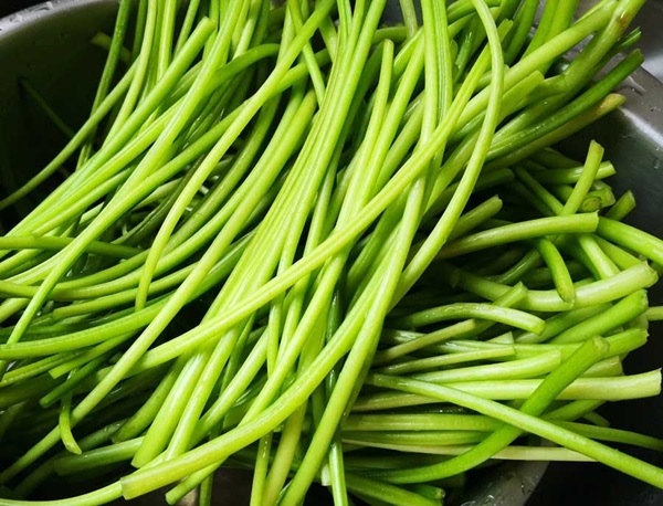 Bắt đầu mùa thu, hãy ăn món tươi ngon này, vừa bổ dưỡng,&nbsp;toàn thân đều là báu vật-1