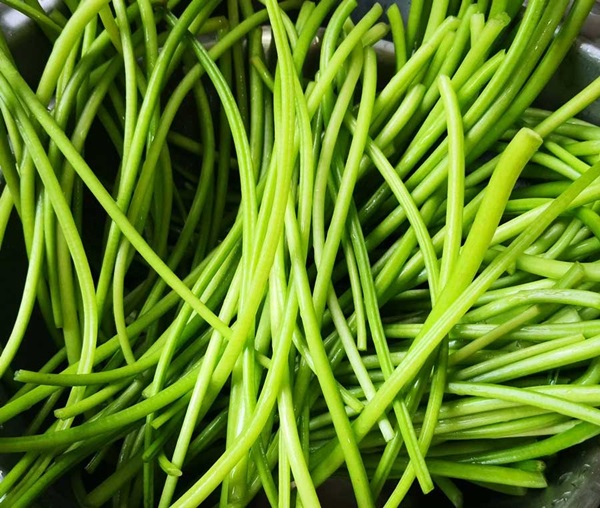 Bắt đầu mùa thu, hãy ăn món tươi ngon này, vừa bổ dưỡng, toàn thân đều là báu vật-2