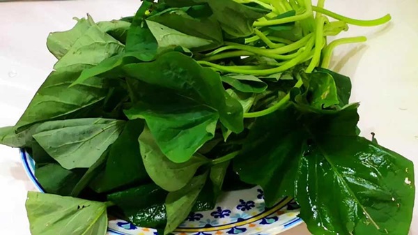 Bắt đầu mùa thu, hãy ăn món tươi ngon này, vừa bổ dưỡng, toàn thân đều là báu vật-3