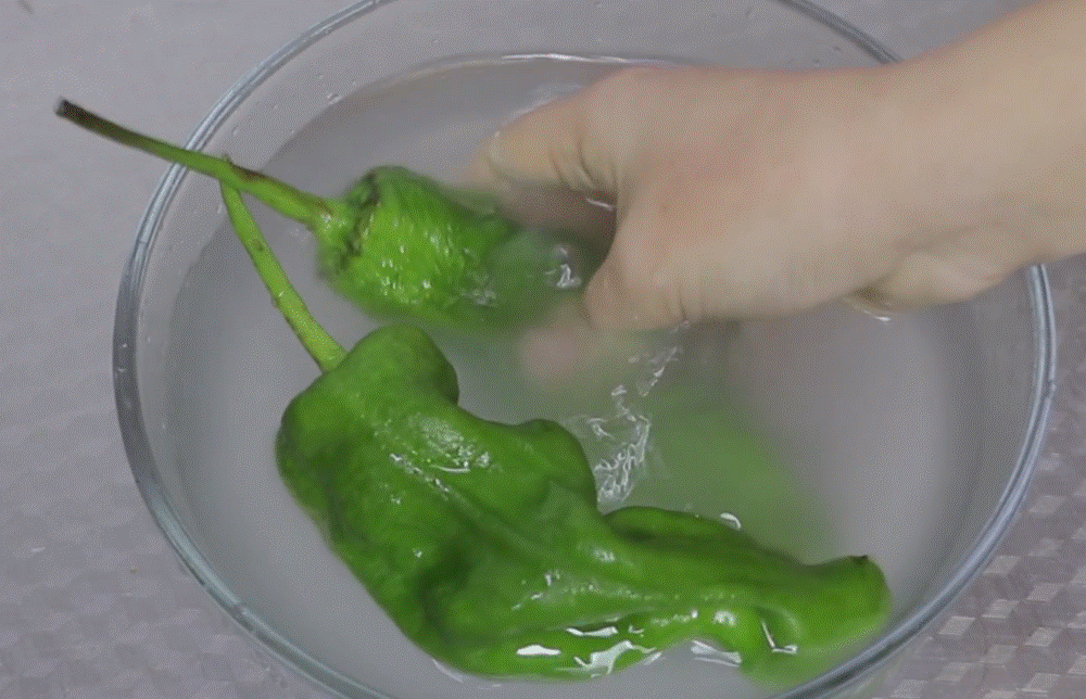 Đừng đổ nước vo gạo đi, chỉ cần 1 bát là giải quyết được nhiều vấn đề siêu thiết thực trong cuộc sống-4