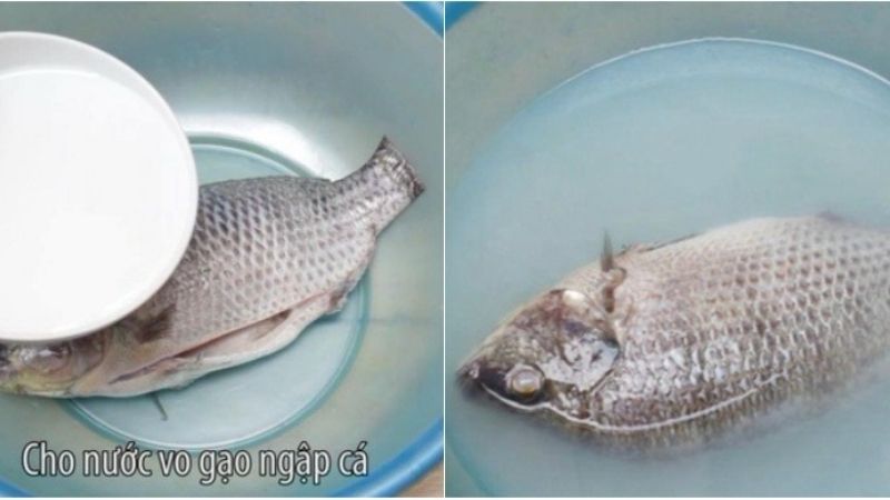 Đừng đổ nước vo gạo đi, chỉ cần 1 bát là giải quyết được nhiều vấn đề siêu thiết thực trong cuộc sống-7