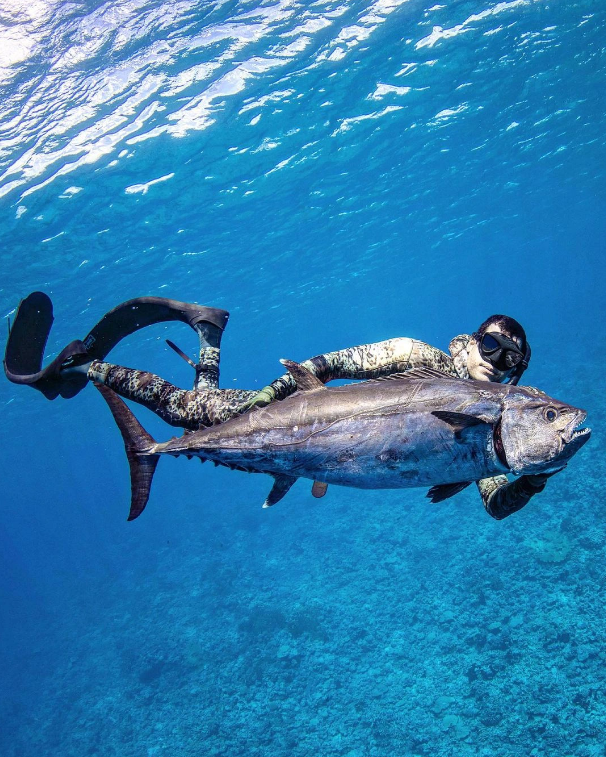 Câu chuyện đặc biệt về hai anh em làm nghề săn nhà cho giới siêu giàu ở Mỹ-3