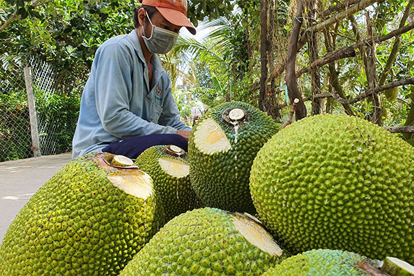 Đà giảm mạnh của giá xăng dầu có thể chấm dứt trong kỳ điều chỉnh tới-2