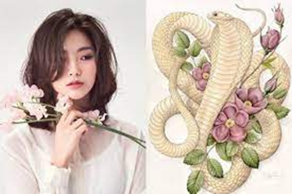 Tử vi tuần mới từ 14-21/8/2022 của 12 con giáp: Tý hung cát đan xen, Tỵ tài lộc dồi dào-2