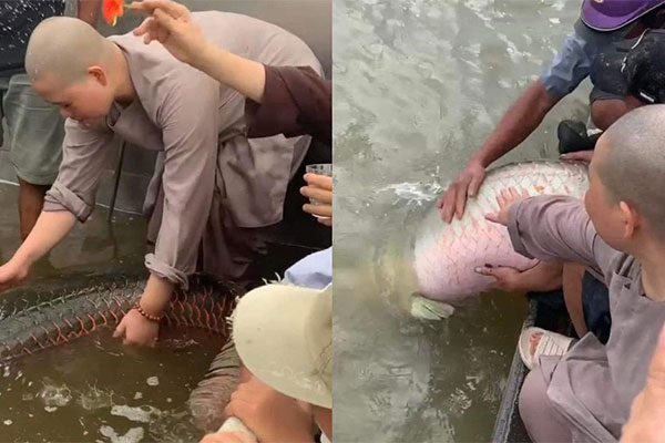 Bắt chim để phóng sinh khác gì đẩy người xuống nước rồi cứu nhằm nhận thưởng-2