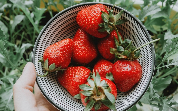 Cách chọn và bảo quản dâu tây ngon ngọt mọng nước, để cả tuần không thâm nhũn-3