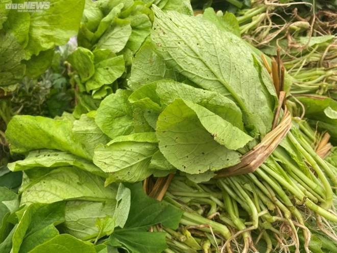 Giá thực phẩm, rau xanh bắt đầu giảm nhỏ giọt-3