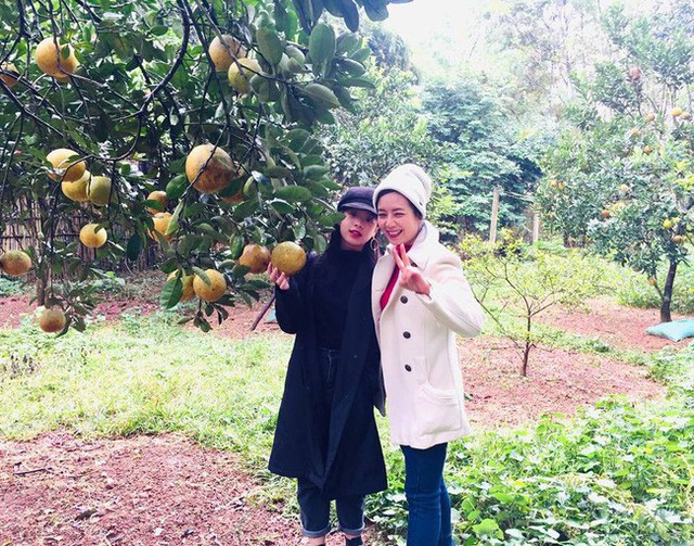 Nhà phố và vườn rộng thênh thang của nghệ sĩ không tuổi Chiều Xuân-10