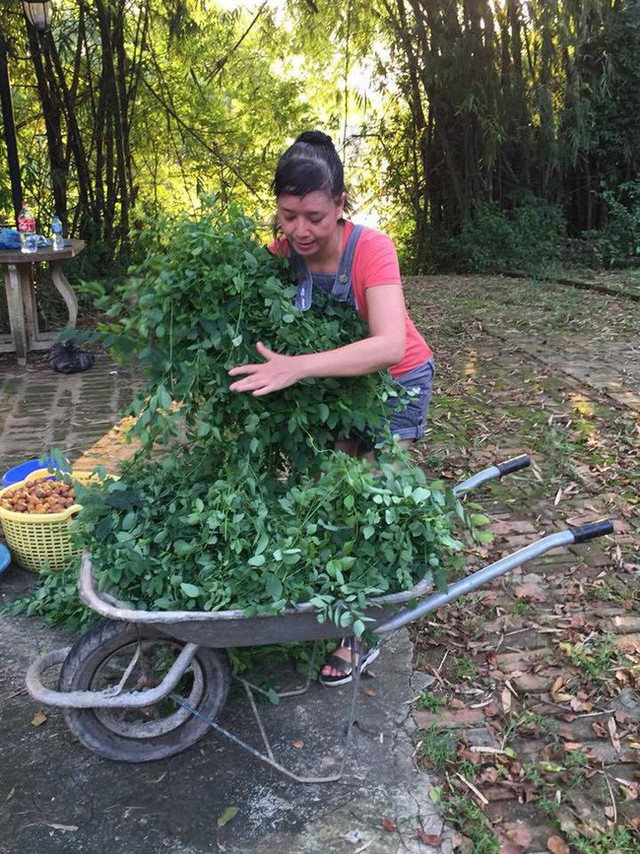 Nhà phố và vườn rộng thênh thang của nghệ sĩ không tuổi Chiều Xuân-15