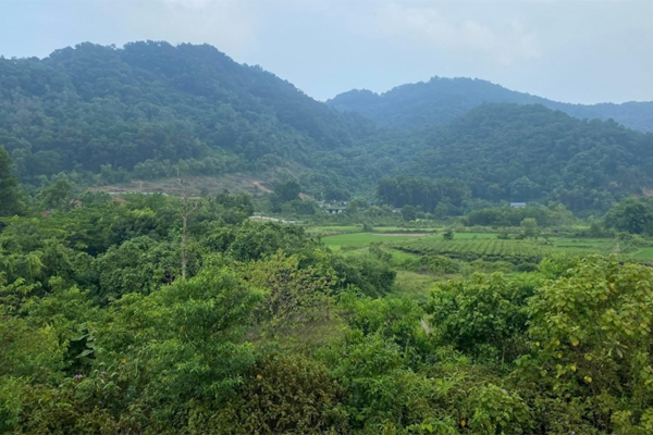 Thương vụ nực cười nhất thời sốt đất: Bãi cỏ sâu trong ngõ cũng có giá 2,5 tỷ-1