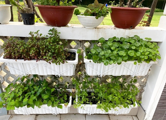 Biệt thự 200m2 của Trịnh Kim Chi và chồng đại gia: Giá 10 tỷ, vị trí đắc địa gần 1 trường Đại học chỉ dành cho con nhà giàu-7