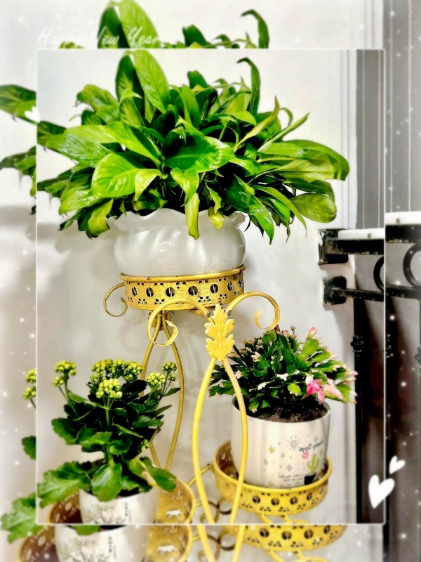 Ngắm nhà đẹp của nàng Á hậu rẽ ngang làm diễn viên-6