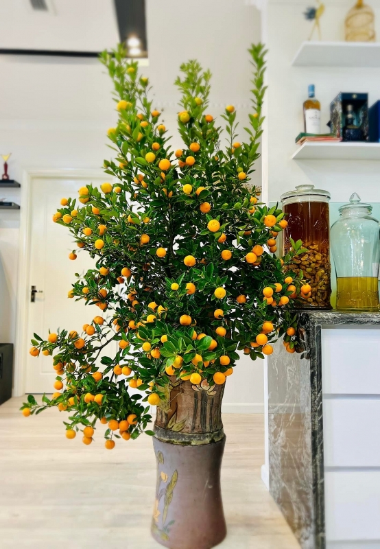 Ngắm nhà đẹp của nàng Á hậu rẽ ngang làm diễn viên-9