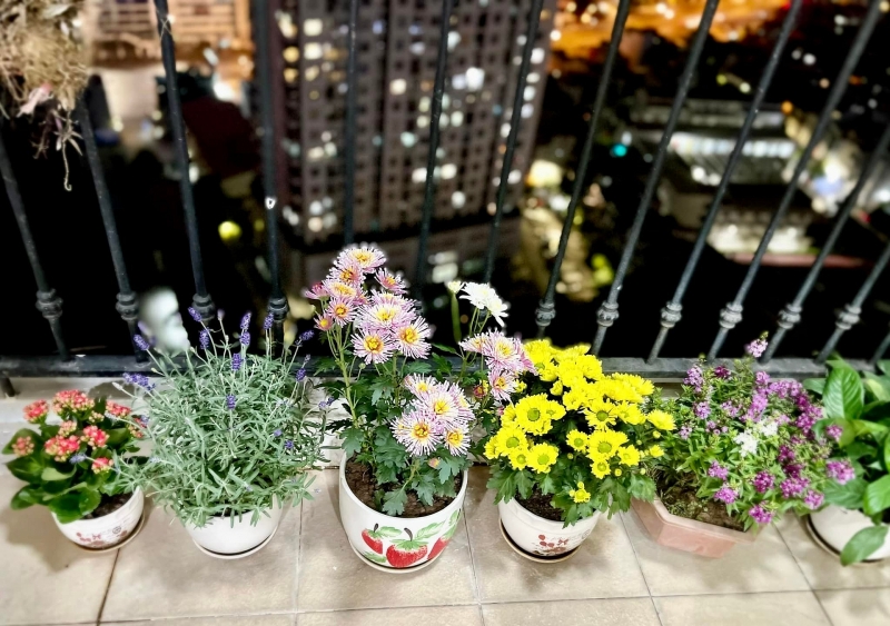 Ngắm nhà đẹp của nàng Á hậu rẽ ngang làm diễn viên-10