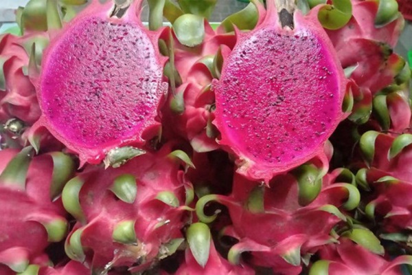 3 loại thịt tốt nhất đối với phụ nữ, vừa giàu collagen vừa tốt cho khí, máu và tim mạch-3