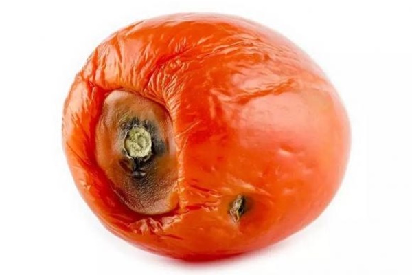 Đặt một miếng xơ mướp vào nhà tắm có tác dụng tuyệt vời, biết được có lợi cả đời!-9