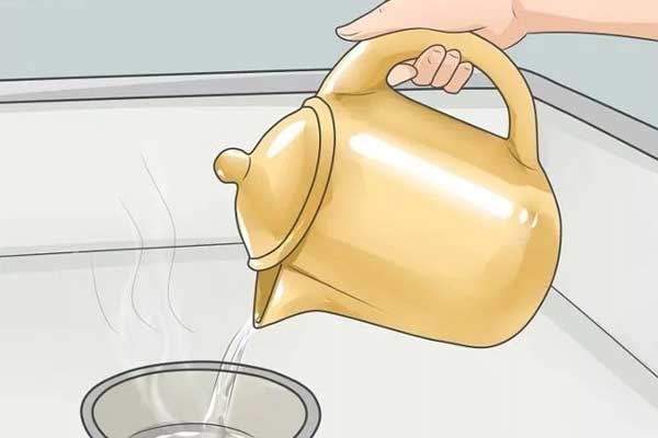 5 mẹo hay ngăn gián chui từ cống lên vào mùa mưa-1