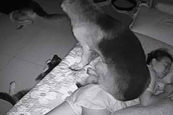 Liên tục khó thở, gặp ác mộng mỗi đêm trong tháng cô hồn, cô gái tá hỏa khi lắp camera theo dõi lúc ngủ-1