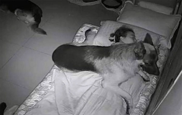 Liên tục khó thở, gặp ác mộng mỗi đêm trong tháng cô hồn, cô gái tá hỏa khi lắp camera theo dõi lúc ngủ-2