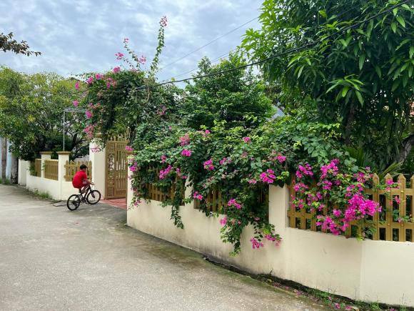 Khung cảnh ngôi nhà nhỏ ở quê thanh bình, rợp bóng cây của ca sĩ Hồ Quang 8-4