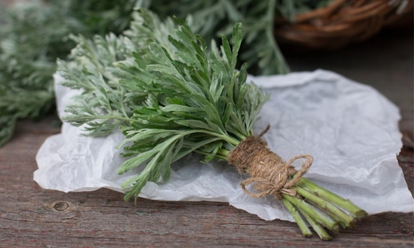 4 món rau bán đầy chợ phụ nữ nên ăn để điều hòa kinh nguyệt, dưỡng tử cung-3