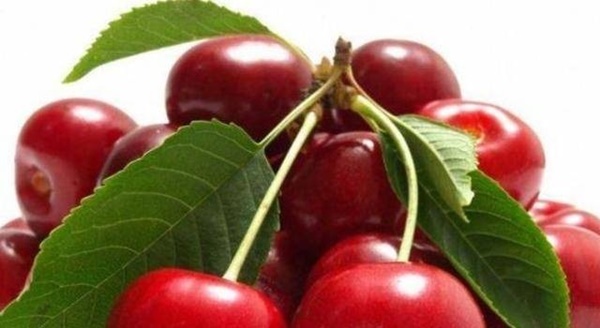 Những loại quả ‘thần kỳ’ giúp làm chậm quá trình lão hóa, hỗ trợ giảm cân-3