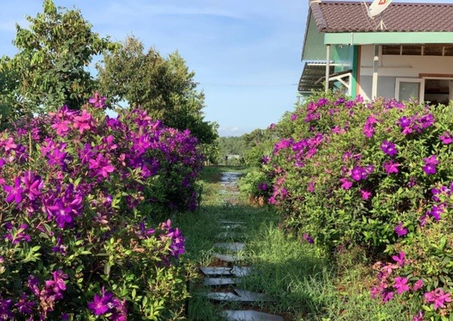 Vợ chồng ở TP. HCM tự tay cải tạo khu đất 7.400 m2, nhọc nhằn nhưng kết quả mãn nguyện-1