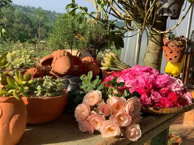 Vợ chồng ở TP. HCM tự tay cải tạo khu đất 7.400 m2, nhọc nhằn nhưng kết quả mãn nguyện-9