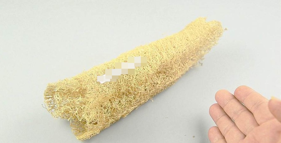 Đặt một miếng xơ mướp vào nhà tắm có tác dụng tuyệt vời, biết được có lợi cả đời!-1