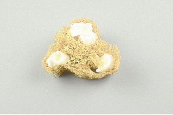 Đặt một miếng xơ mướp vào nhà tắm có tác dụng tuyệt vời, biết được có lợi cả đời!-2