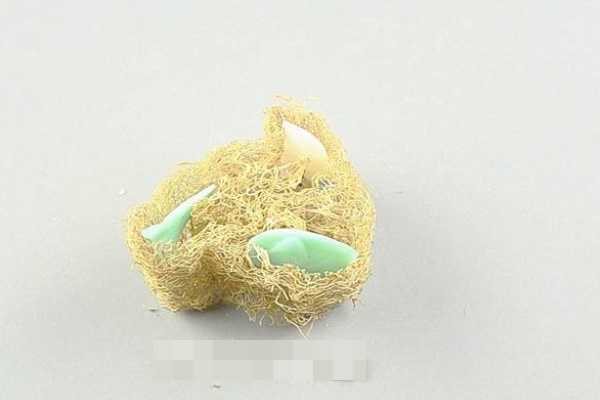 Đặt một miếng xơ mướp vào nhà tắm có tác dụng tuyệt vời, biết được có lợi cả đời!-6