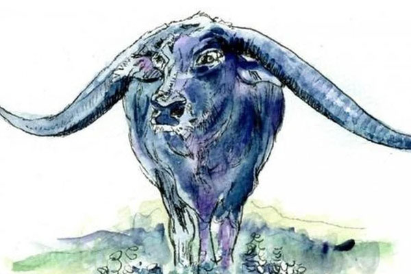 5 nét tướng của người ‘sinh ra để làm tỉ phú’, có 1/5 cũng phú quý giàu sang-3