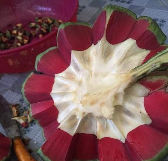 Điều đặc biệt của na ruột đỏ giá đắt gấp 3 lần chỉ ngửi không ăn” nhiều người săn lùng-2