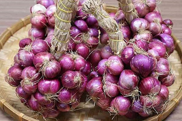 Cắm hoa hồng đừng chỉ dùng nước lã: Cho 1 thìa này vào bình, hoa nở bung, cả tuần vẫn tươi-7